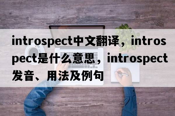 introspect中文翻譯，introspect是什么意思，introspect發(fā)音、用法及例句