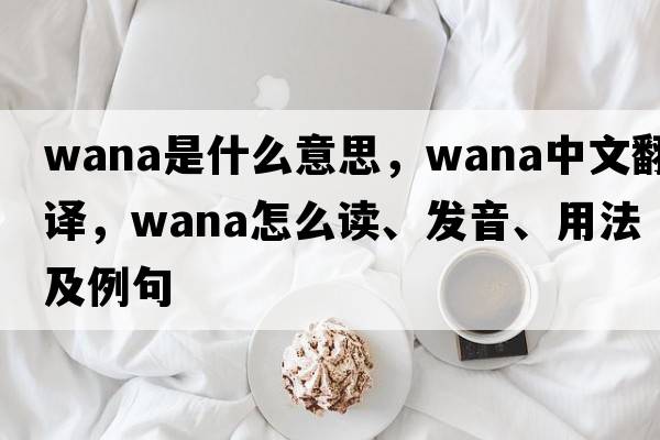 WANA是什么意思，WANA中文翻譯，WANA怎么讀、發(fā)音、用法及例句
