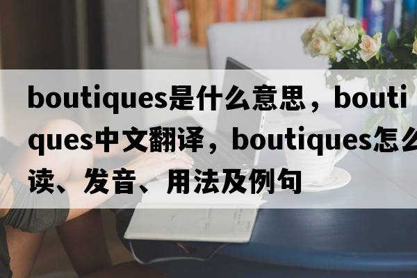 boutiques是什么意思，boutiques中文翻譯，boutiques怎么讀、發(fā)音、用法及例句