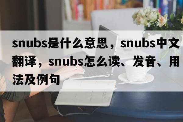 snubs是什么意思，snubs中文翻譯，snubs怎么讀、發(fā)音、用法及例句