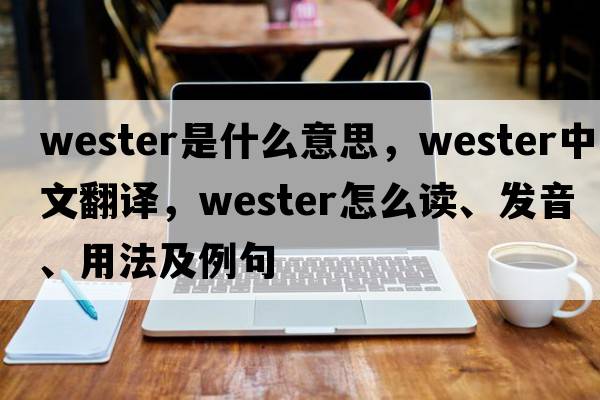 wester是什么意思，wester中文翻譯，wester怎么讀、發(fā)音、用法及例句