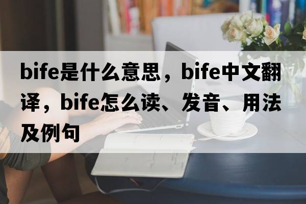 BIFE是什么意思，BIFE中文翻譯，BIFE怎么讀、發(fā)音、用法及例句