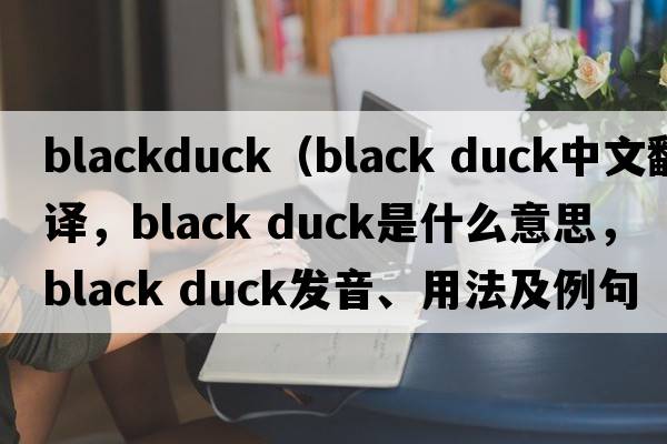 blackduck（black duck中文翻譯，black duck是什么意思，black duck發(fā)音、用法及例句）