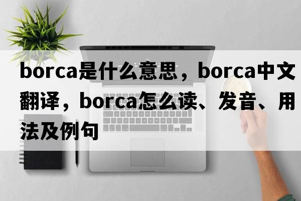 Borca是什么意思，Borca中文翻譯，Borca怎么讀、發(fā)音、用法及例句