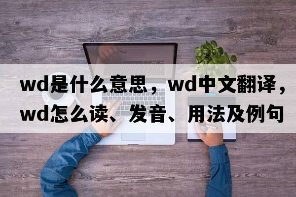 wd是什么意思，wd中文翻譯，wd怎么讀、發(fā)音、用法及例句
