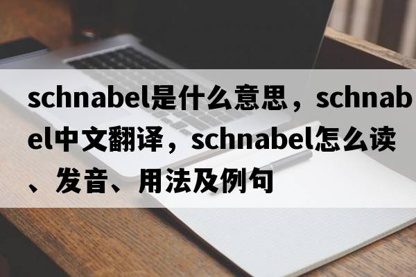 schnabel是什么意思，schnabel中文翻譯，schnabel怎么讀、發(fā)音、用法及例句