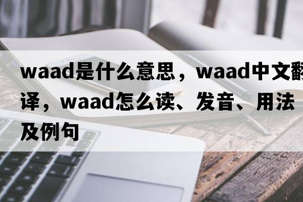 Waad是什么意思，Waad中文翻譯，Waad怎么讀、發(fā)音、用法及例句