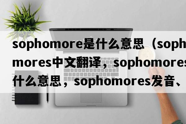 sophomore是什么意思（sophomores中文翻譯，sophomores是什么意思，sophomores發(fā)音、用法及例句）