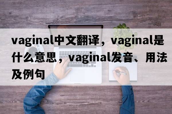 vaginal中文翻譯，vaginal是什么意思，vaginal發(fā)音、用法及例句