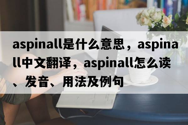 Aspinall是什么意思，Aspinall中文翻譯，Aspinall怎么讀、發(fā)音、用法及例句