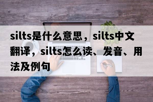 silts是什么意思，silts中文翻譯，silts怎么讀、發(fā)音、用法及例句