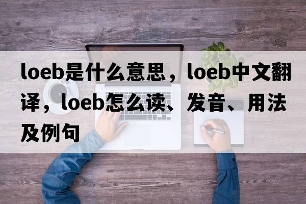 Loeb是什么意思，Loeb中文翻譯，Loeb怎么讀、發(fā)音、用法及例句