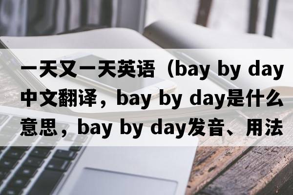 一天又一天英語（bay by day中文翻譯，bay by day是什么意思，bay by day發(fā)音、用法及例句）