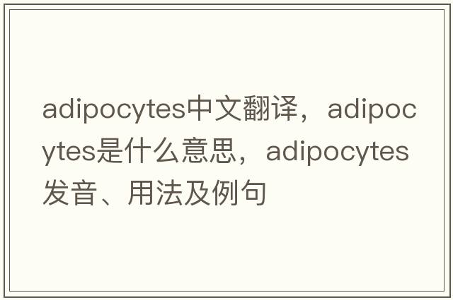 adipocytes中文翻譯，adipocytes是什么意思，adipocytes發(fā)音、用法及例句