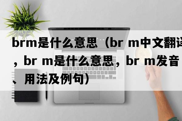 brm是什么意思（br m中文翻譯，br m是什么意思，br m發(fā)音、用法及例句）