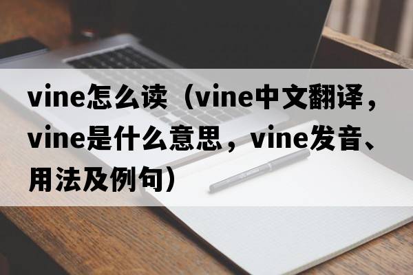vine怎么讀（vine中文翻譯，vine是什么意思，vine發(fā)音、用法及例句）