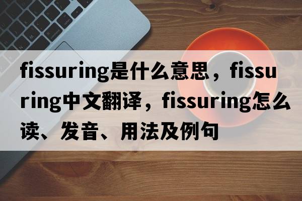 fissuring是什么意思，fissuring中文翻譯，fissuring怎么讀、發(fā)音、用法及例句