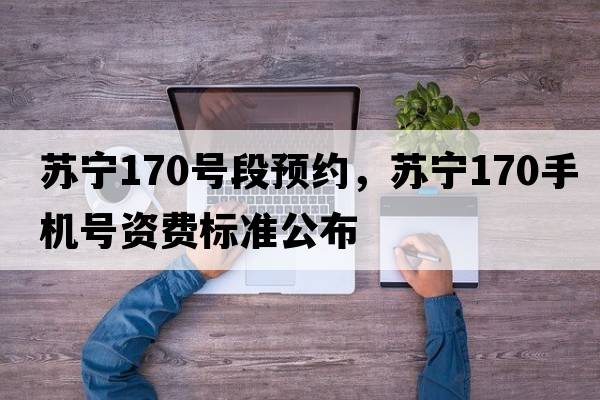 蘇寧170號(hào)段預(yù)約，蘇寧170手機(jī)號(hào)資費(fèi)標(biāo)準(zhǔn)公布