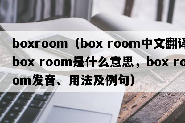 boxroom（box room中文翻譯，box room是什么意思，box room發(fā)音、用法及例句）