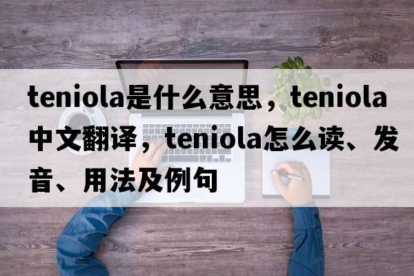 teniola是什么意思，teniola中文翻譯，teniola怎么讀、發(fā)音、用法及例句