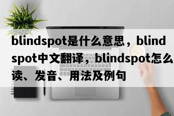 blindspot是什么意思，blindspot中文翻譯，blindspot怎么讀、發(fā)音、用法及例句