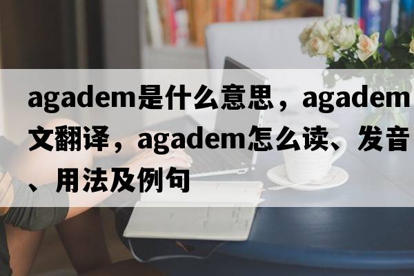 Agadem是什么意思，Agadem中文翻譯，Agadem怎么讀、發(fā)音、用法及例句