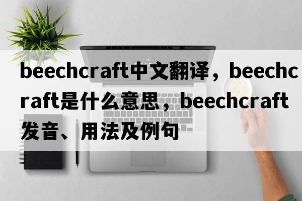 beechcraft中文翻譯，beechcraft是什么意思，beechcraft發(fā)音、用法及例句