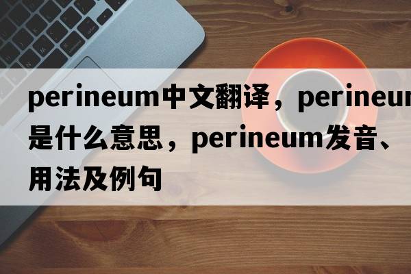 perineum中文翻譯，perineum是什么意思，perineum發(fā)音、用法及例句