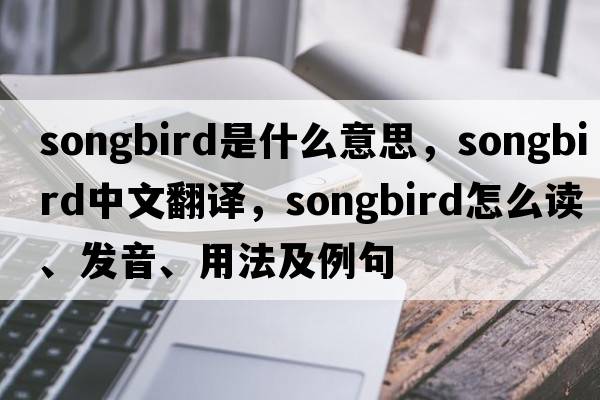 songbird是什么意思，songbird中文翻譯，songbird怎么讀、發(fā)音、用法及例句