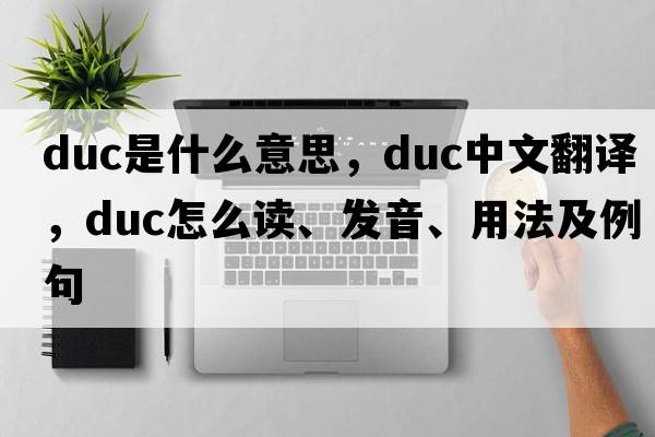 duc是什么意思，duc中文翻譯，duc怎么讀、發(fā)音、用法及例句