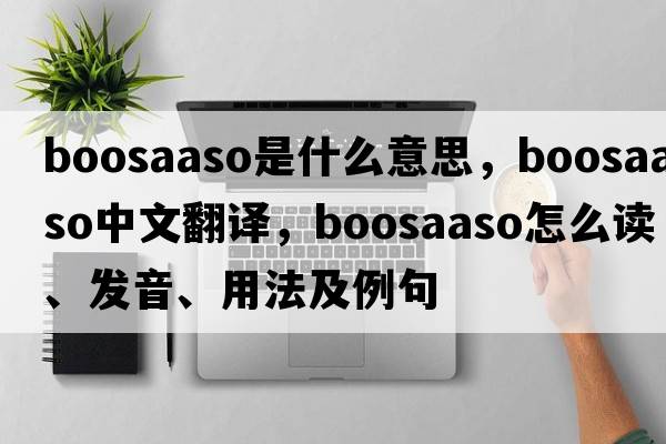 Boosaaso是什么意思，Boosaaso中文翻譯，Boosaaso怎么讀、發(fā)音、用法及例句