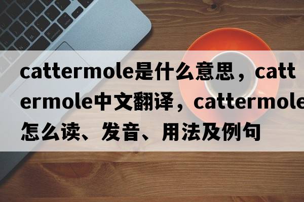Cattermole是什么意思，Cattermole中文翻譯，Cattermole怎么讀、發(fā)音、用法及例句