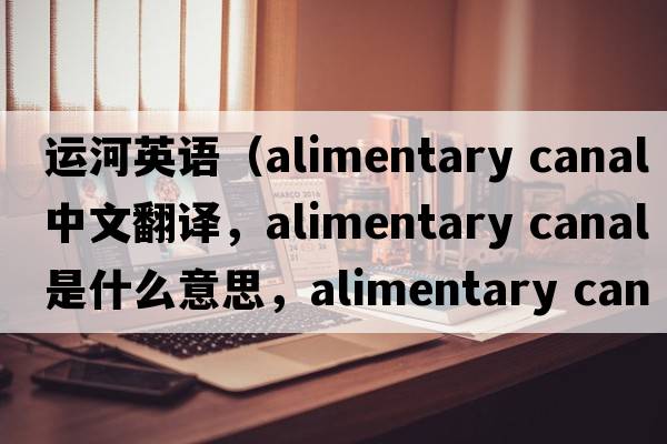 運(yùn)河英語(yǔ)（alimentary canal中文翻譯，alimentary canal是什么意思，alimentary canal發(fā)音、用法及例句）