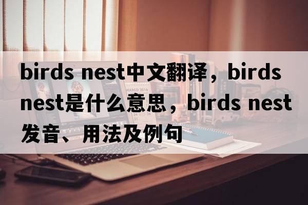 birds nest中文翻譯，birds nest是什么意思，birds nest發(fā)音、用法及例句