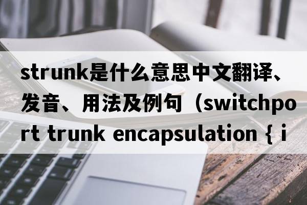 Strunk是什么意思中文翻譯、發(fā)音、用法及例句（switchport trunk encapsulation { isl | dot1q | negotiate }只能使用dot1q ,另兩個提示錯