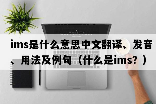 ims是什么意思中文翻譯、發(fā)音、用法及例句（什么是IMS？）