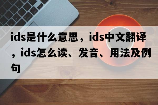 ids是什么意思，ids中文翻譯，ids怎么讀、發(fā)音、用法及例句
