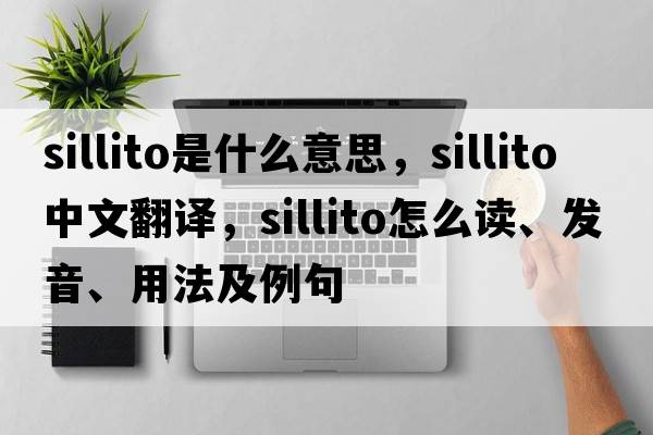 Sillito是什么意思，Sillito中文翻譯，Sillito怎么讀、發(fā)音、用法及例句