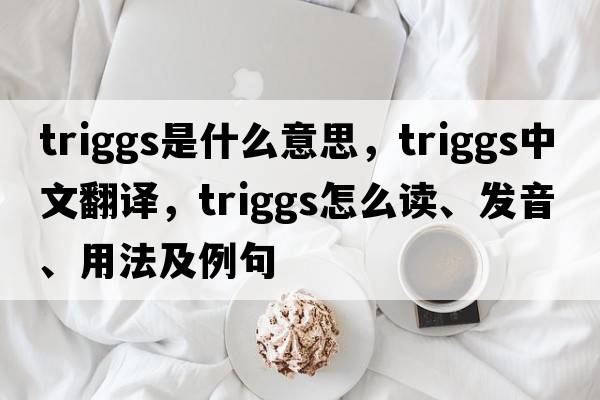 Triggs是什么意思，Triggs中文翻譯，Triggs怎么讀、發(fā)音、用法及例句