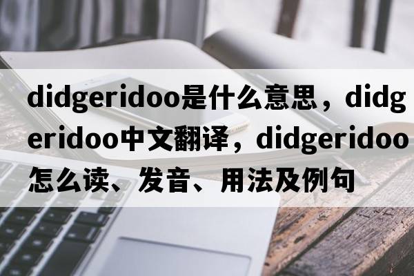 didgeridoo是什么意思，didgeridoo中文翻譯，didgeridoo怎么讀、發(fā)音、用法及例句