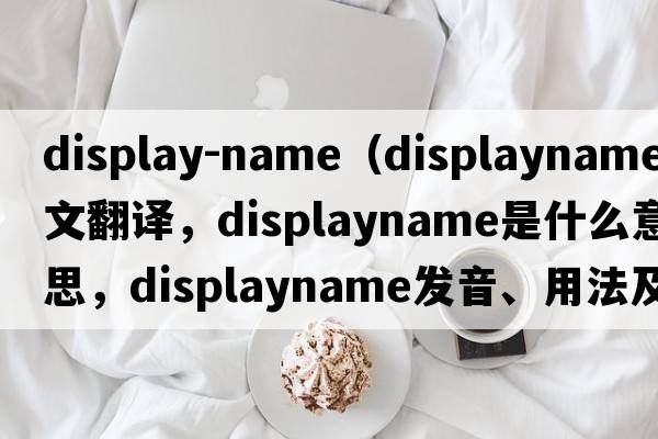 display-name（displayname中文翻譯，displayname是什么意思，displayname發(fā)音、用法及例句）