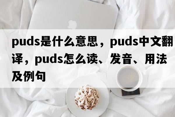 puds是什么意思，puds中文翻譯，puds怎么讀、發(fā)音、用法及例句