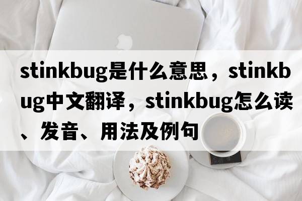 stinkbug是什么意思，stinkbug中文翻譯，stinkbug怎么讀、發(fā)音、用法及例句