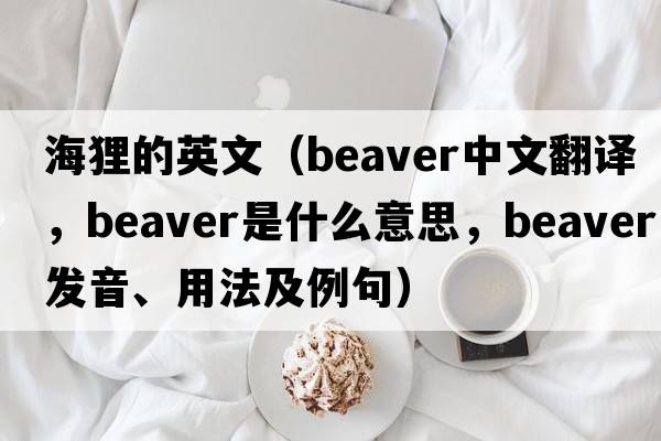 海貍的英文（beaver中文翻譯，beaver是什么意思，beaver發(fā)音、用法及例句）