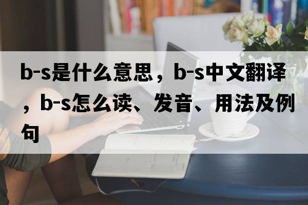 b-S是什么意思，b-S中文翻譯，b-S怎么讀、發(fā)音、用法及例句