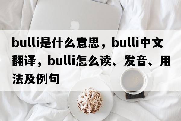 Bulli是什么意思，Bulli中文翻譯，Bulli怎么讀、發(fā)音、用法及例句