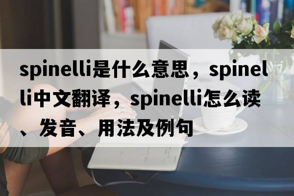 Spinelli是什么意思，Spinelli中文翻譯，Spinelli怎么讀、發(fā)音、用法及例句