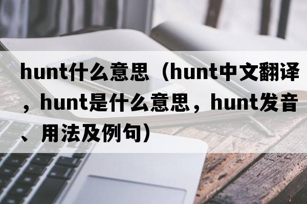 hunt什么意思（hunt中文翻譯，hunt是什么意思，hunt發(fā)音、用法及例句）