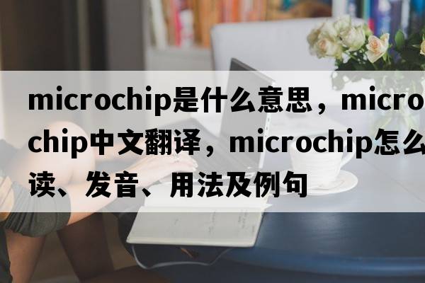 microchip是什么意思，microchip中文翻譯，microchip怎么讀、發(fā)音、用法及例句