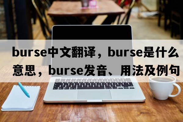 burse中文翻譯，burse是什么意思，burse發(fā)音、用法及例句